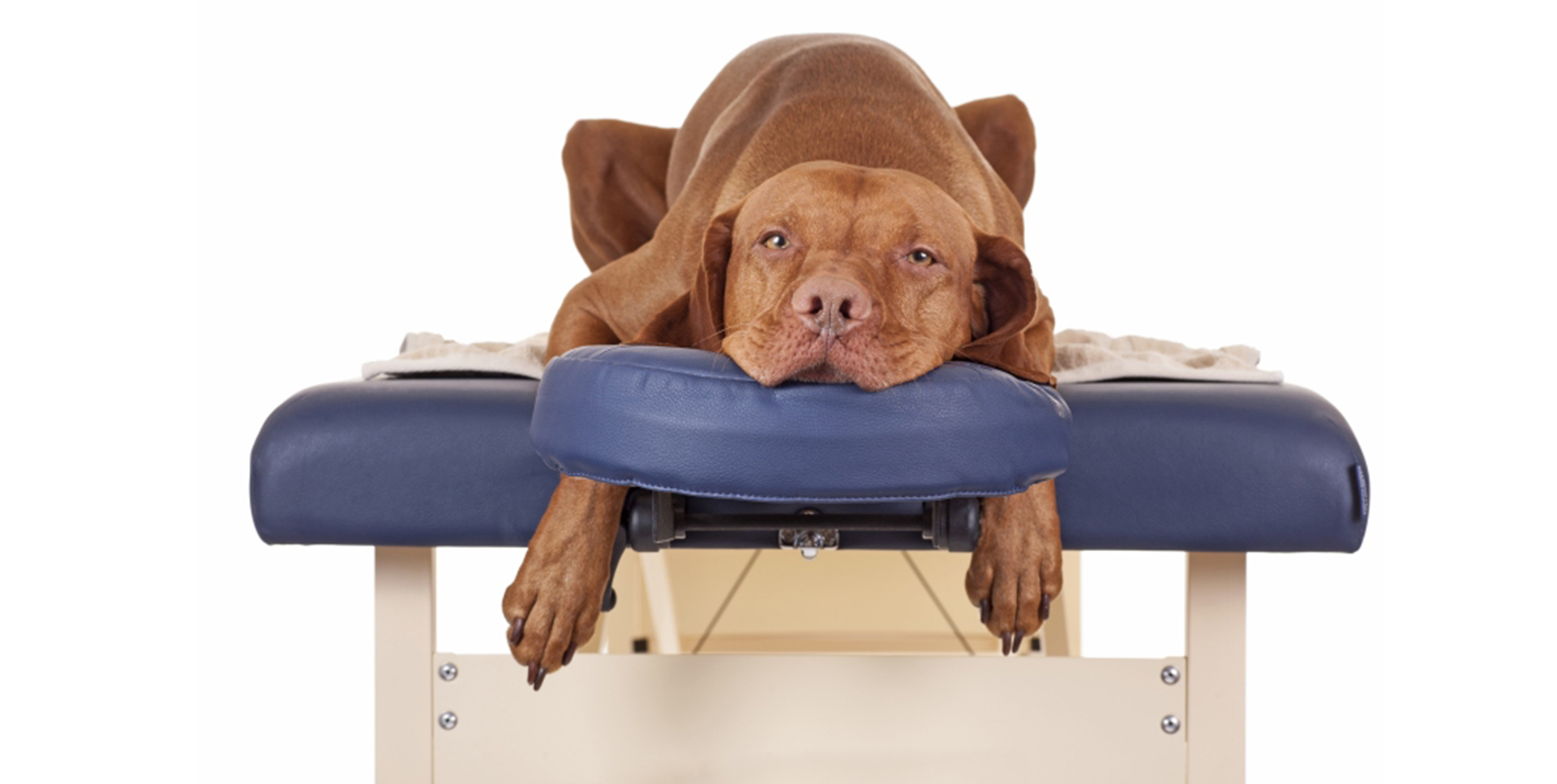 ボディケアサロンアルプス―ALPS―奈良メンテナンス整体　